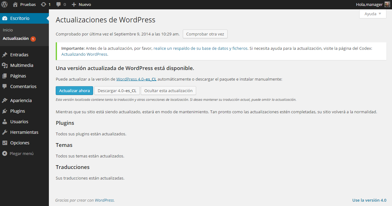 Actualizaciones de WordPress ‹ Pruebas — WordPress