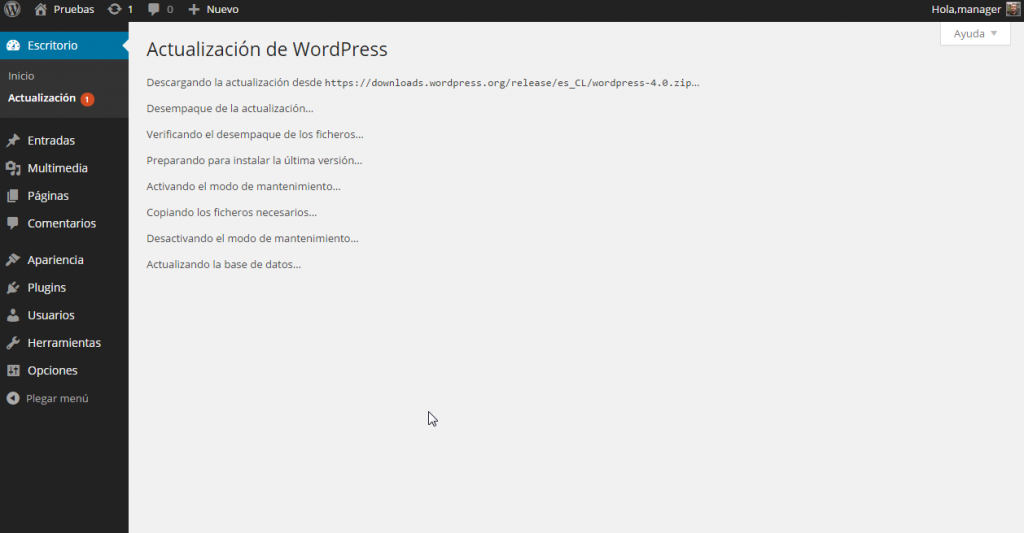 Actualizaciones de WordPress ‹ Pruebas — WordPress