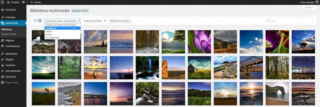 Biblioteca multimedia ‹ Pruebas — WordPress 4